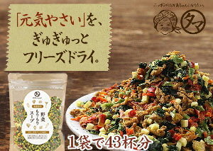 【送料無料】今だけ一杯約21円!8種類の 野菜もりもりスープお湯をかけるだけで手軽に栄養満点の本格野菜スープが出来るお薦めの逸品!忙しい朝や毎日の栄養サポートに♪|ブロススープ ファイトケミカル フリーズドライ スープ やさい 健康食品 炊き込みご飯