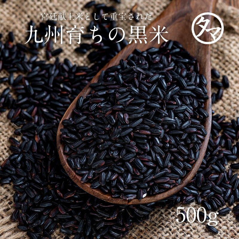 【送料無料】黒米(クロマイ) 500g-九