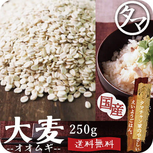 【送料無料】九州産 大麦(押し麦) 250g食べる食物繊維・大麦βグルカンの宝庫な食材。注目される第6の栄養素とされる食物繊維を豊富に含んだ食材。炊飯や料理にお使い頂けます。【オオムギ おおむぎ】【胚芽押し麦】【押麦】