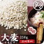 【送料無料】九州産 大麦(押し麦) 250g食べる食物繊維・大麦βグルカンの宝庫な食材。注目される第6の栄養素とされる食物繊維を豊富に含んだ食材。炊飯や料理にお使い頂けます。【オオムギ おおむぎ】【胚芽押し麦】【押麦】 498円
