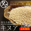 【送料無料】キヌア (キノア) 1kg 本場ペルー/ボリビア産航空宇宙局が「21世紀の主要食」と認めた高栄養雑穀！無添加のナチュラルキヌアキヌアダイエットにもおススメ！【雑穀 キヌア 生 キノア お取り寄せ】1個から送料無料！