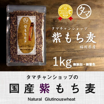 レア食材！【送料無料】超希少な紫もち麦1kg（福岡県産/29年度産）紫が濃い状態で収穫したもち麦です。もち麦に比べてポリフェノールの1種、アントシアニジンを多く含み水分量が多く、より一層もちもちぷちぷちの食感|国産もち麦 無添加 もちむぎ 健康食品 美容