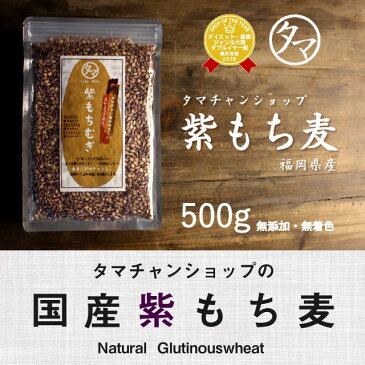 レア食材！【送料無料】超希少な紫もち麦500g（福岡県産/29年度産）紫が濃い状態で収穫したもち麦です。もち麦に比べてポリフェノールの1種、アントシアニジンを多く含み水分量が多く、より一層もちもちぷちぷちの食感が楽しめます【国産もち麦/無添加】