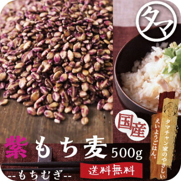 レア食材！【送料無料】超希少な紫もち麦500g（福岡県産/29年度産）紫が濃い状態で収穫したもち麦です。もち麦に比べてポリフェノールの1種、アントシアニジンを多く含み水分量が多く、より一層もちもちぷちぷちの食感が楽しめます【国産もち麦/無添加】