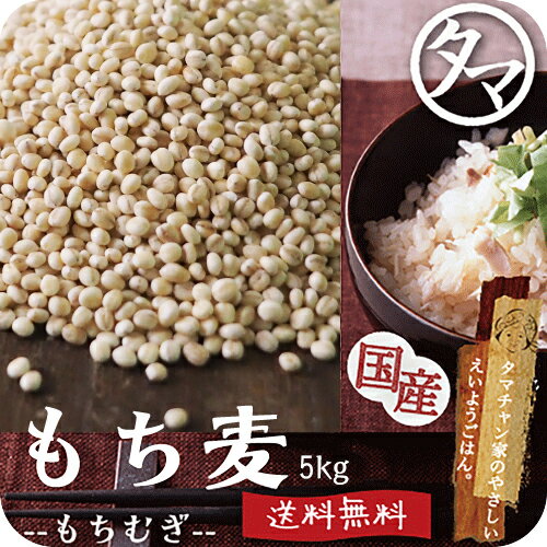 【送料無料】もち麦5kg (国産・無添加)もっちりプチプチとした食感と食物繊維が豊富！高タンパク、高ミネラルで、β-…