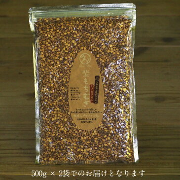 【送料無料】超希少な紫もち麦1kg(九州産/29年度産)紫が濃い状態で収穫したもち麦です。もち麦に比べてポリフェノールの1種、アントシアニジンを多く含み、より一層もちもちぷちぷちの食感が楽しめます【国産 もち麦/無添加/ダイシモチ/モチムギ】