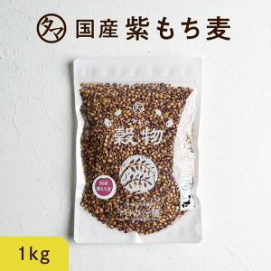 【送料無料】超希少な紫もち麦1kg（九州産）令和2年産紫が濃い状態で収穫したもち麦です。もち麦に比べてポリフェノールの1種、アントシアニジンを多く含み、より一層もちもちぷちぷち食感が楽しめます国産 もち麦 無添加 ダイシモチ モチムギ もち麦ごはん