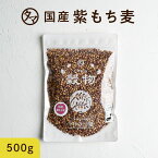 【送料無料】超希少な紫もち麦500g（九州産）令和2年産紫が濃い状態で収穫したもち麦です。もち麦に比べてポリフェノールの1種、アントシアニジンを多く含み、より一層もちもちぷちぷちの食感が楽しめます【国産 もち麦/無添加/ダイシモチ/モチムギ】