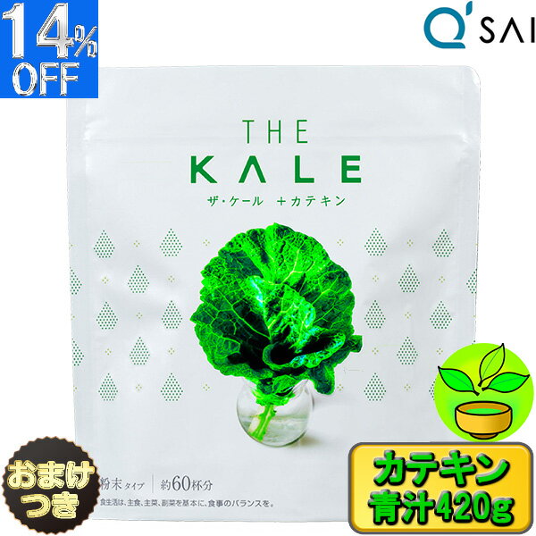 塼ĽĽʴĽƥץ饹420g