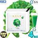キューサイ 青汁 ケール ツージー 冷凍 乳酸菌入り 青汁 生 国産90g×7パック入4セット+おまけ aojiru 健康青汁 野菜不足 野菜ジュース 腸内環境 健康ドリンク あおじる 健康飲料 食物繊維 水溶性 不溶性 青汁 アロエエキス