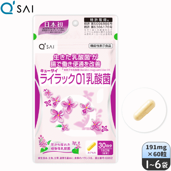 塼 饤å01 191mg60γ