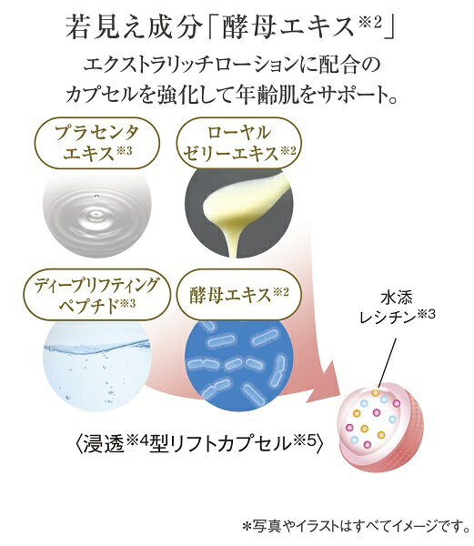 キューサイ コラリッチ ディープエクストラリッチローション 120mL 2本まとめ買い