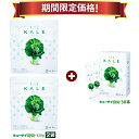【23%OFF 期間限定価格】キューサイ 青汁 ケール 粉末 420g入2袋+30袋入 1箱