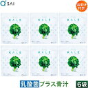 キューサイ 青汁 ケール 乳酸菌 ビフィズス菌入り 粉末 420g 6袋まとめ買い おまけつき