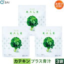 キューサイ 青汁 ケール カテキン青汁 粉末 420g 3袋まとめ買い おまけつき