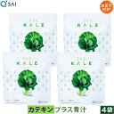 キューサイ 青汁 ケール カテキン入り 粉末 420g 4袋まとめ買い おまけつき