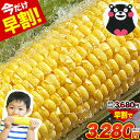 日本最速出荷 スイートコーン 7本入り (3L~L サイズ) 【おまとめ買いクーポンで最大777円OFF】 とうもろこし 朝採り 生で食べられる 約1.8kg〜...