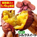 さつまいも 熊本県産 訳あり シルクスイート 1kg (サイズ大中小不揃い) 送料無料 焼き芋 お取り寄せ さつま芋 薩摩芋《1-5営業日以内に出荷予定(土日祝日除く)》