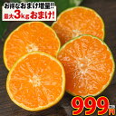 小玉 みかん 訳あり 送料無料 【おまとめ買いで最大3セットおまけ】1セット 1kg 柑橘類 柑橘 わけあり 蜜柑 ミカン 小粒 産地直送 果物 九州 まとめ買い 箱買い お取り寄せグルメ《9月中旬-9月末頃より発送予定》