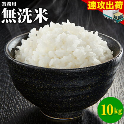 業務用 無洗米 10kg (5kg×2) 送料無料 コメ お徳用 無洗米 白米 非常食 保存食 業務用 訳あり わけあり 米 コメ 白米 精米 《ご選択の納期以...