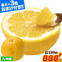 【29日迄★888円】河内晩柑 送料無料 1.5kg 和製 グレープフルーツ 2セット以上でおまけ付 ...