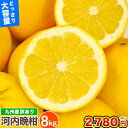 \大容量★1kgあたり347.5円/ 訳あり 河内晩柑 8kg 九州産 送料無料 和製 グレープフルーツ 旬 の フルーツ 果物 みかん 晩柑 《1-5営業以内...