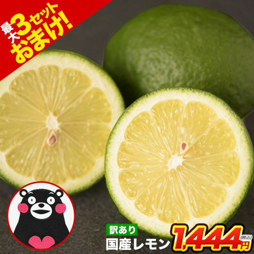 国産 レモン 訳あり 1.5kg 送料無料 【最大4.5kgおまけ増量】九州産 リスボンレモン グラントレモン サイズ不選別 フルーツ 檸檬 レモン水 レモンピ...