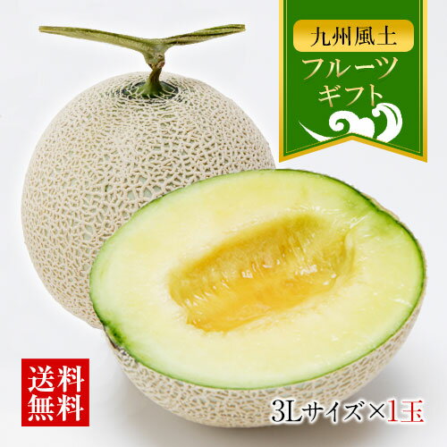 メロン マスクメロン 九州産 3Lサイズ 秀品 1玉 贈答 贈り物 フルーツ ギフト メロン 送料無料 お歳暮 御歳暮 贈答 メロン お年賀 高級 熨斗 プレゼント お返し 高級 職場 退職 引越し 誕生日プレゼント 《7-14営業以内発送予定(土日祝除く)》