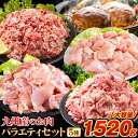 総重量1,520g! お肉5種 バラエティセット 肉 豚肉 鶏肉 ハンバーグ 5種 大容量 福袋 切り落とし 豚ミンチ 国産 豚 ミンチ うまかチキン 若鶏 モモ肉 むね肉 デミグラス 《配送予定に記載の日程でお届け》