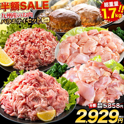 【今なら半額★2,929円】総重量1,720g! お肉5種 バラエティセット 肉 豚肉 鶏肉 ハンバーグ 5種 大容量 福袋 切り落とし 豚ミンチ 国産 豚 ミンチ うまかチキン 若鶏 モモ肉 むね肉 デミグラス 《5月中旬頃～5月下旬頃出荷予定》