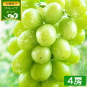 【★最大1500円OFF★送料無料】シャインマスカット 約1.2kg 約300g×4房 フルーツ ギフト 贈答用 プレゼント 果物 マスカット ぶどう ブドウ 九州産 皮ごと食べられる 熨斗 のし【クール便】《ご選択の納期以内に発送》