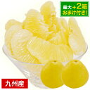 【最大+2セット分おまけ付き!】 文旦 送料無料 九州産 訳あり パール柑 セレブ柑 1kg 旬 みかん 箱買い 《3-7営業以内発送予定(土日祝除く)》