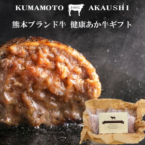 ハンバーグ ギフト 塩こうじ 国産 牛 あか牛 熊本県産 お歳暮 送料無料 冷凍 詰め合わせ 5個セット あか牛 大きめ 150g ハンバーグステーキ 送料無料 お取り寄せ 赤身 肉厚 スパイス ボリューム 食べ物 惣菜 ダイエット 高たんぱく質 低脂肪 低脂質 九州ふるさと便