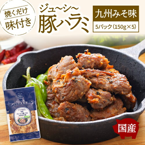 ジューシー豚ハラミ（九州みそ）5パック 約750g おつまみ おつまみセット おかず おかずセット 冷凍 惣菜 惣菜セット ギフト レトルト グルメ 食品 肉 豚肉 焼豚 保存食 お取り寄せ お取り寄せグルメBBQ 焼肉 晩酌 簡単おかず