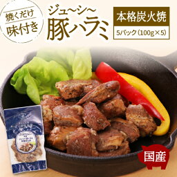 訳あり ジューシー豚ハラミ（本格炭火焼き）5パック 約500g おつまみ おつまみセット おかず おかずセット 冷凍 惣菜 惣菜セット ギフト レトルト グルメ 食品 肉 豚肉 焼豚 保存食 お取り寄せ お取り寄せグルメBBQ 焼肉 晩酌 簡単おかず 焼くだけ 年末 年始 ごちそう