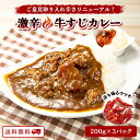 【クーポン配布中】＼美味しさお届け／ 激辛新登場 激辛 牛すじ カレー 200g x 3パック 美味しい レトルト カレー 常温保存 スパイス カレー ポイント消化 カレー粉 ギフト ご当地グルメ 詰め合わせ B級グルメ 業務用 グルメ 食品