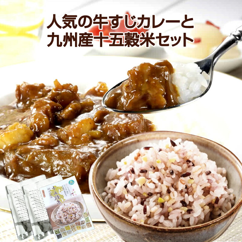 【クーポン配布中】ありがとうショップ九州のごちそう便 人気の牛すじカレーと九州産十五穀米セットのサムネイル