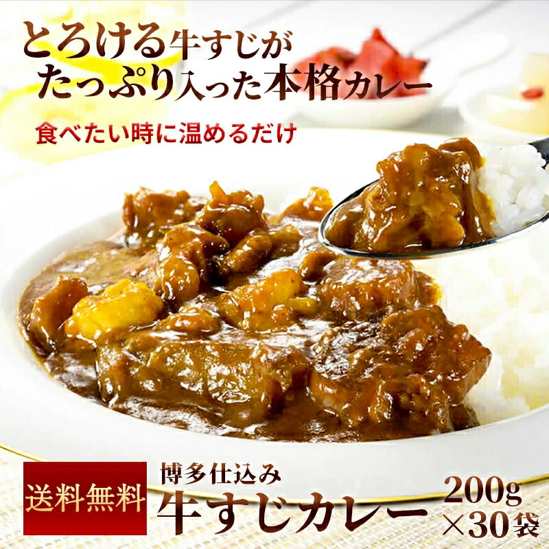 【クーポン配布中】＼美味しさお届け／ TV放送 めんたい家族で紹介されました 牛すじカレー 200g x 30パック レトルト カレー 常温保存 お取り寄せ 博多 惣菜 カレー 詰め合わせ ギフト 業務用 アウトドア グルメ 食品 お徳用 送料無料 九州のごちそう便