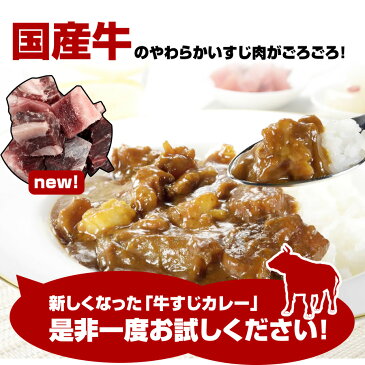 送料無料 10万食突破！牛すじ カレー 200g×3パック レトルトカレー スパイス カレールー ポイント消化 カレー粉 ギフト ご当地グルメ 詰め合わせ B級グルメ 業務用　グルメ 食品