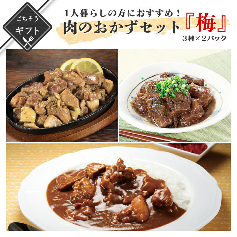 【ポイント2倍&クーポン配布中】 冬ギフト 1人暮らしの方におすすめ！肉のおかずセット3種×2　(梅 ...