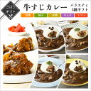 【クーポン配布中】ありがとうショップ九州のごちそう便 博多仕立て 牛すじカレー 200g バラエティ5種ギフト (定番/トマト/キムチ/柚子/生姜) 博多 中辛 地元グルメ 食べ比べ 詰め合わせ 常温 長期保存 送料無料 贈り物 プレゼント お歳暮 お中元