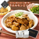 【クーポン配布中】ありがとうショップ九州のごちそう便 ホルモン好きの方への贈り物に 牛ホルモンどて煮5パック もつ 煮込み レトルト 食品 惣菜 味噌 常温 長...