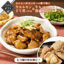 【クーポン配布中】ありがとうショップ九州のごちそう便 ホルモン好きの方への贈り物に 牛ホルモンどて煮3パック+牛もつ醤油仕込み3パック もつ 煮込み レトルト ...