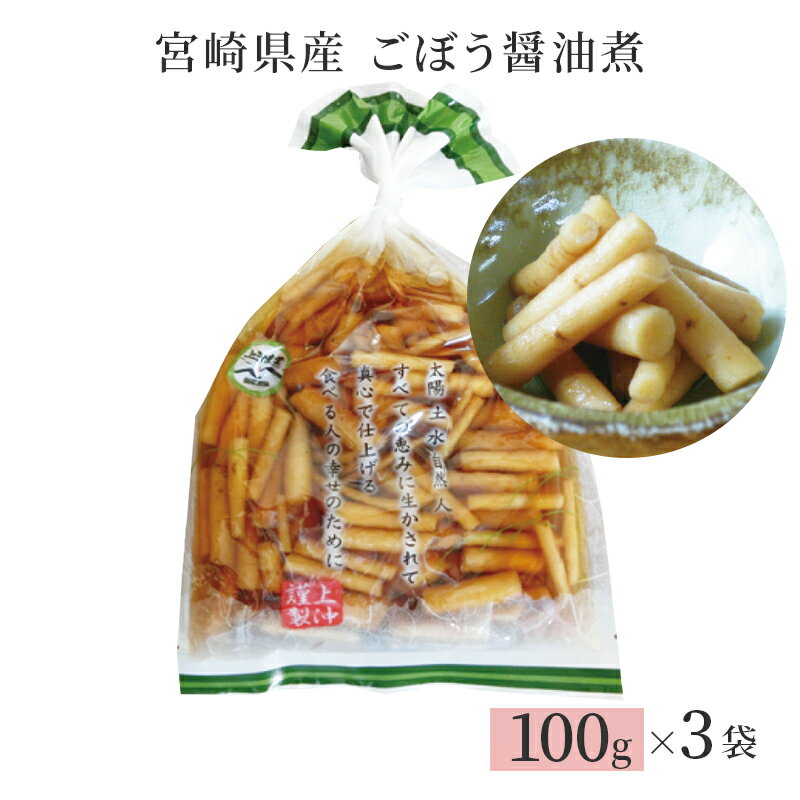 【クーポン配布中】＼美味しさお届け／ 宮崎県産 ごぼう醤油漬 100g x 3袋 九州のごちそう便 お土産 ギフト 贈り物 健康 ヘルシー 美容