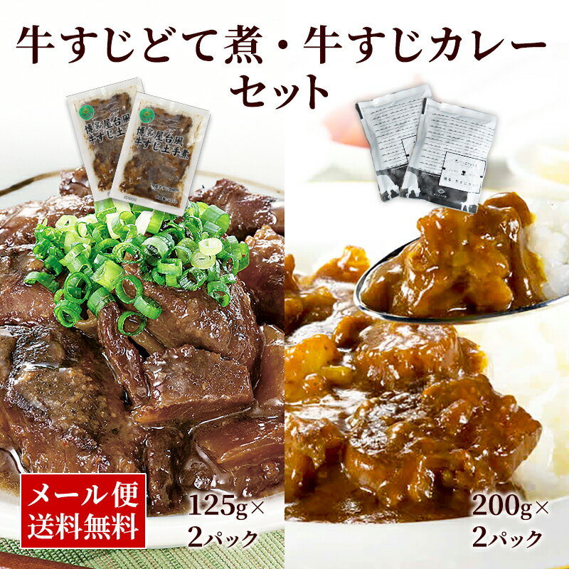 【クーポン配布中】＼美味しさお届け／ 累計40万食突破 楽天1位受賞 4点 セット 博多風 牛すじどて煮 125g x 2パック…