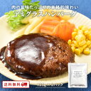 【クーポン配布中】新発売 九州のごちそう便 特製 デミグラスハンバーグ 125g×2パック レトルト 常温 非常食 鶏