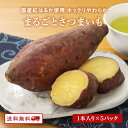 【クーポン配布中】まるごとさつまいも 1本入×5袋 無添加 国産 紅はるか サツマイモ ふかし芋 自然食品 お菓子 おやつ 軽食 間食 九州 常温保存 3月号