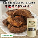 【クーポン配布中】ありがとうショップ九州のごちそう便 軍艦島の甘いダイヤ 180g×1袋 長崎県 国産小麦粉使用 黒棒 お菓子 おやつ お茶請け 地元グルメ 常...