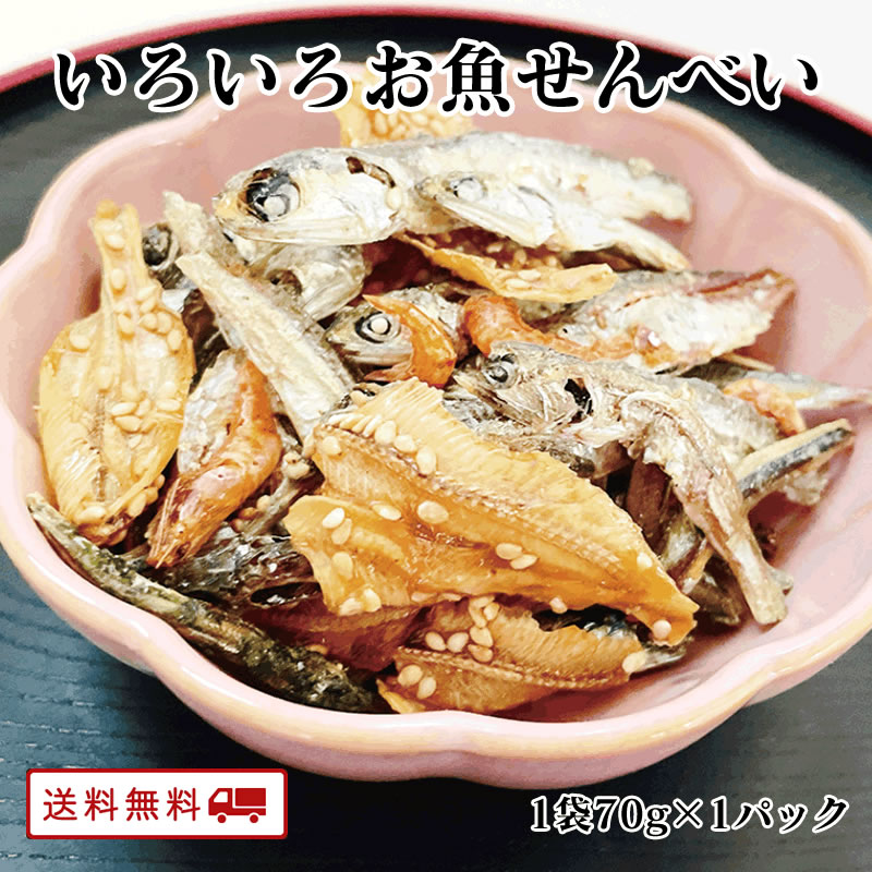 【クーポン配布中】＼1000円 ポッキリ 送料無料／いろいろお魚せんべい 70g×1袋 片口 いわし あじ エビ きびなご いわし せんべい