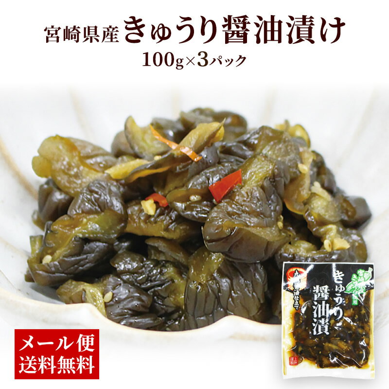 【クーポン配布中】＼美味しさお届け／ きゅうり醤油漬 100g x 3袋 きゅうり漬け 宮崎県産きゅうり きゅうり 漬物 九州醤油仕立て 常温保存 セット 宮崎県産 国産のサムネイル